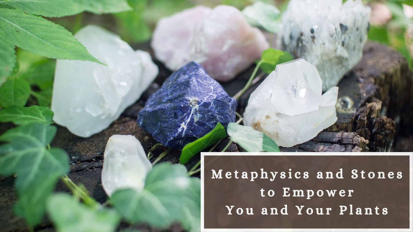 Shadow Shifters Members and Meditation