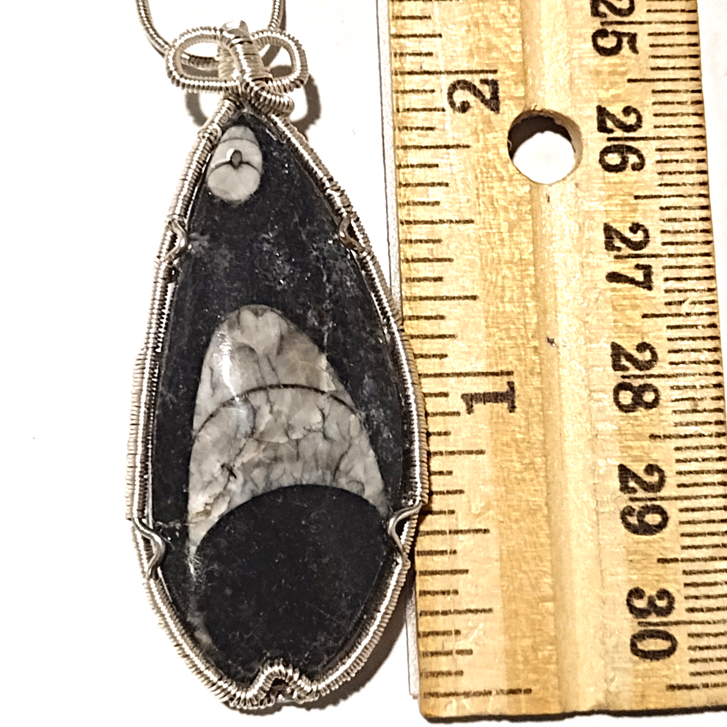 Fossil Jewelry, Orthoceras Polished Fossil Wire Wrapped Silver Snake Chain Necklace