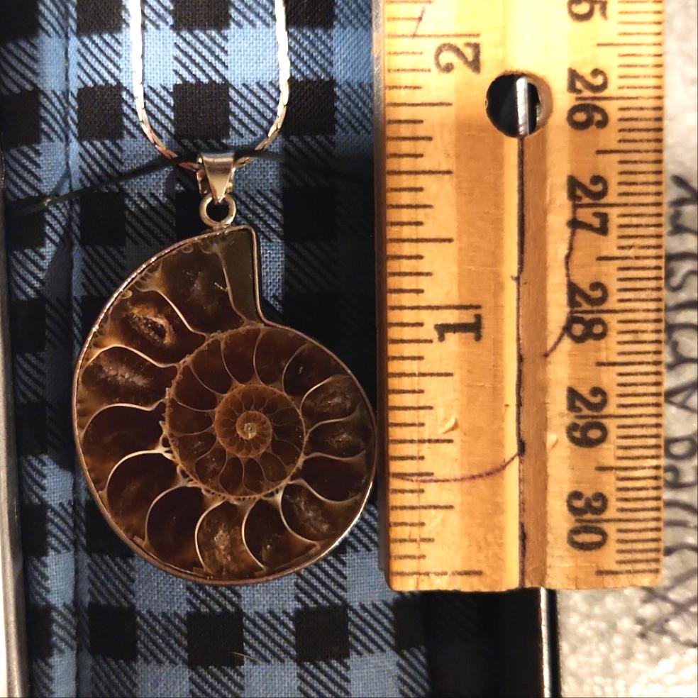 Fossil Jewelry, Silver Plated Polished Ammonite Fossil Necklace