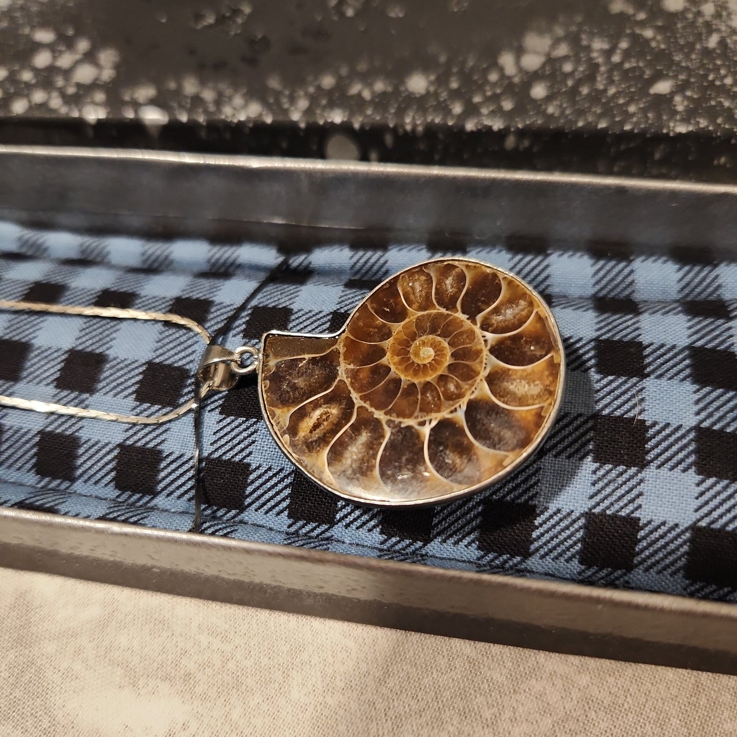 Fossil Jewelry, Silver Plated Polished Ammonite Fossil Necklace