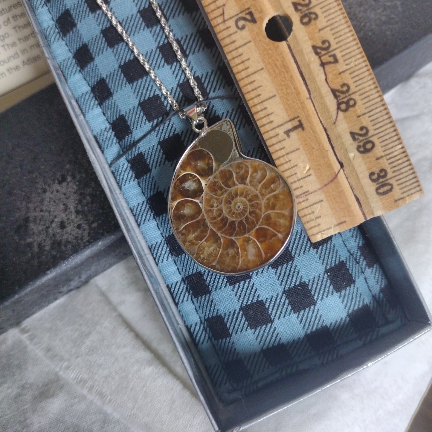 Fossil Jewelry, Silver Plated Polished Ammonite Fossil Rope Necklace