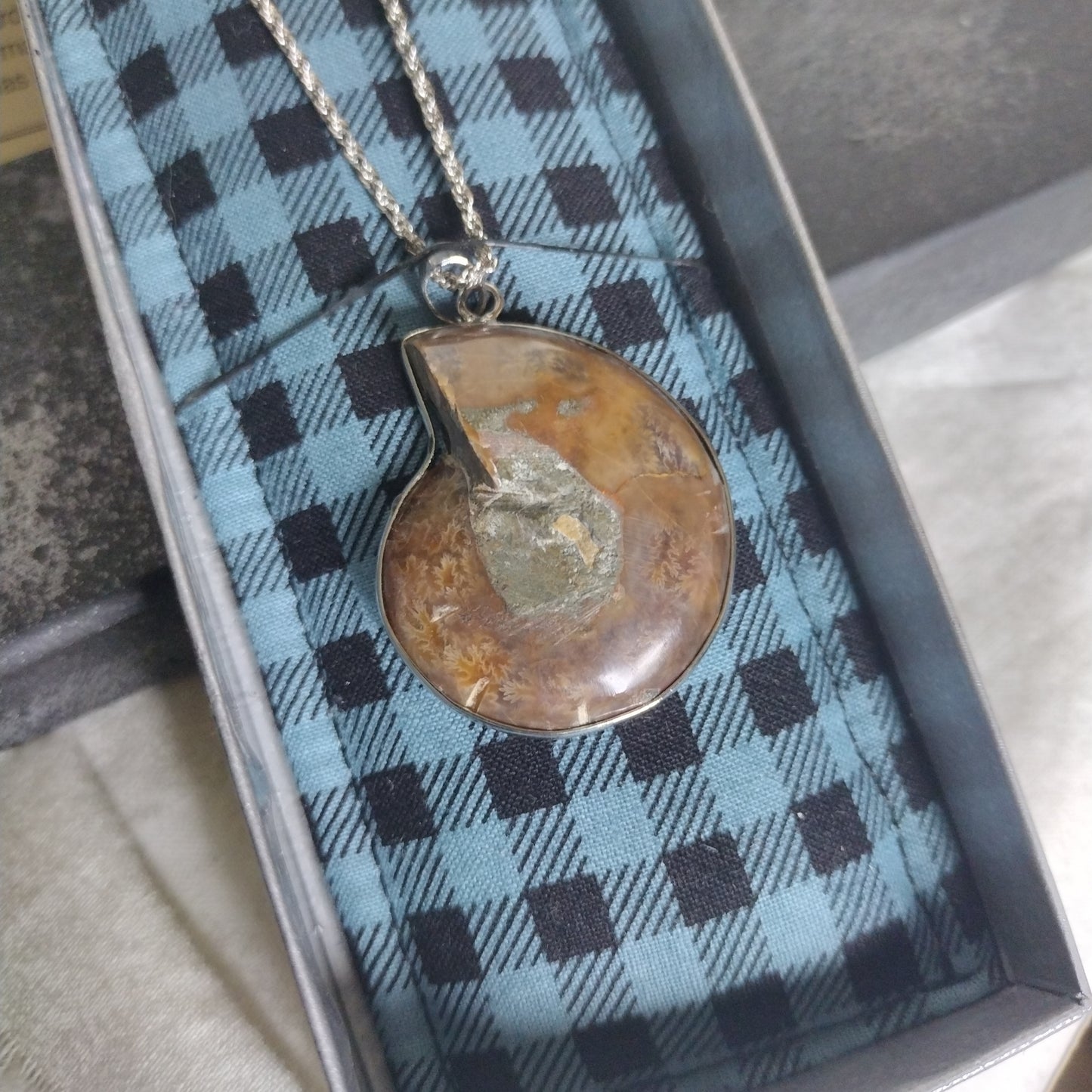 Fossil Jewelry, Silver Plated Polished Ammonite Fossil Rope Necklace