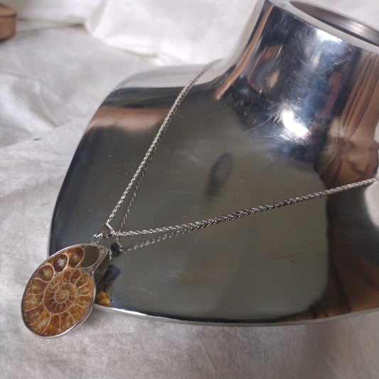 Fossil Jewelry, Silver Plated Polished Ammonite Fossil Rope Necklace