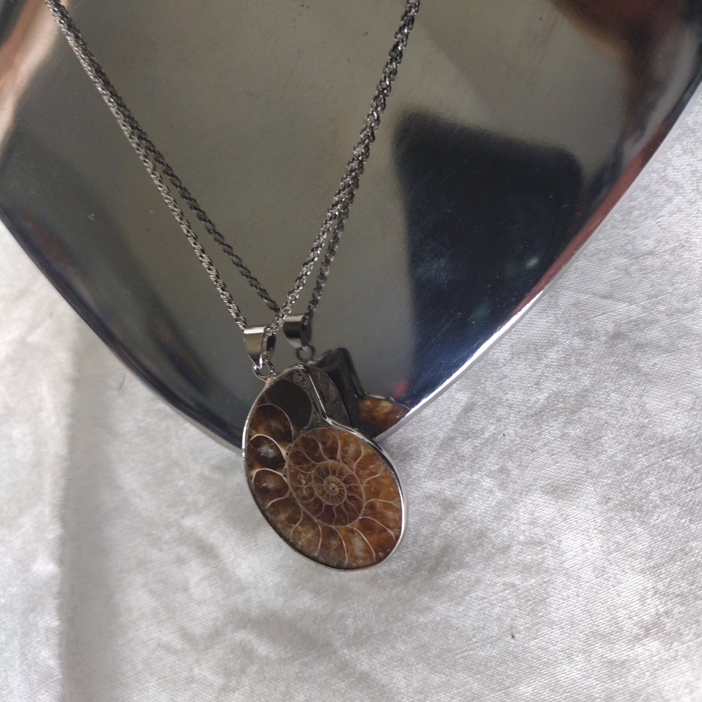 Fossil Jewelry, Silver Plated Polished Ammonite Fossil Rope Necklace