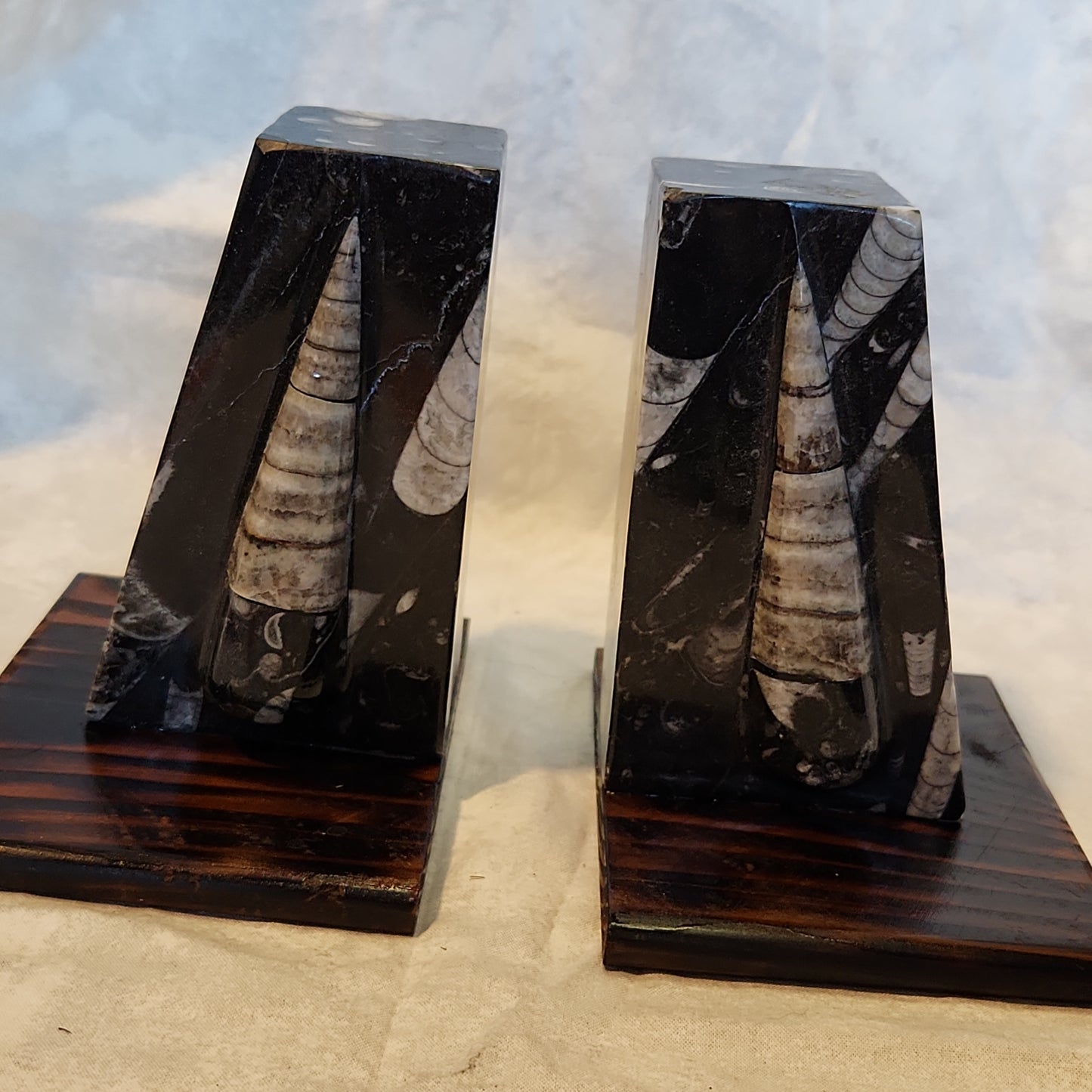 Fossilized Orthoceras Stone Bookends, Carved and Polished Decorative Slate Bookends