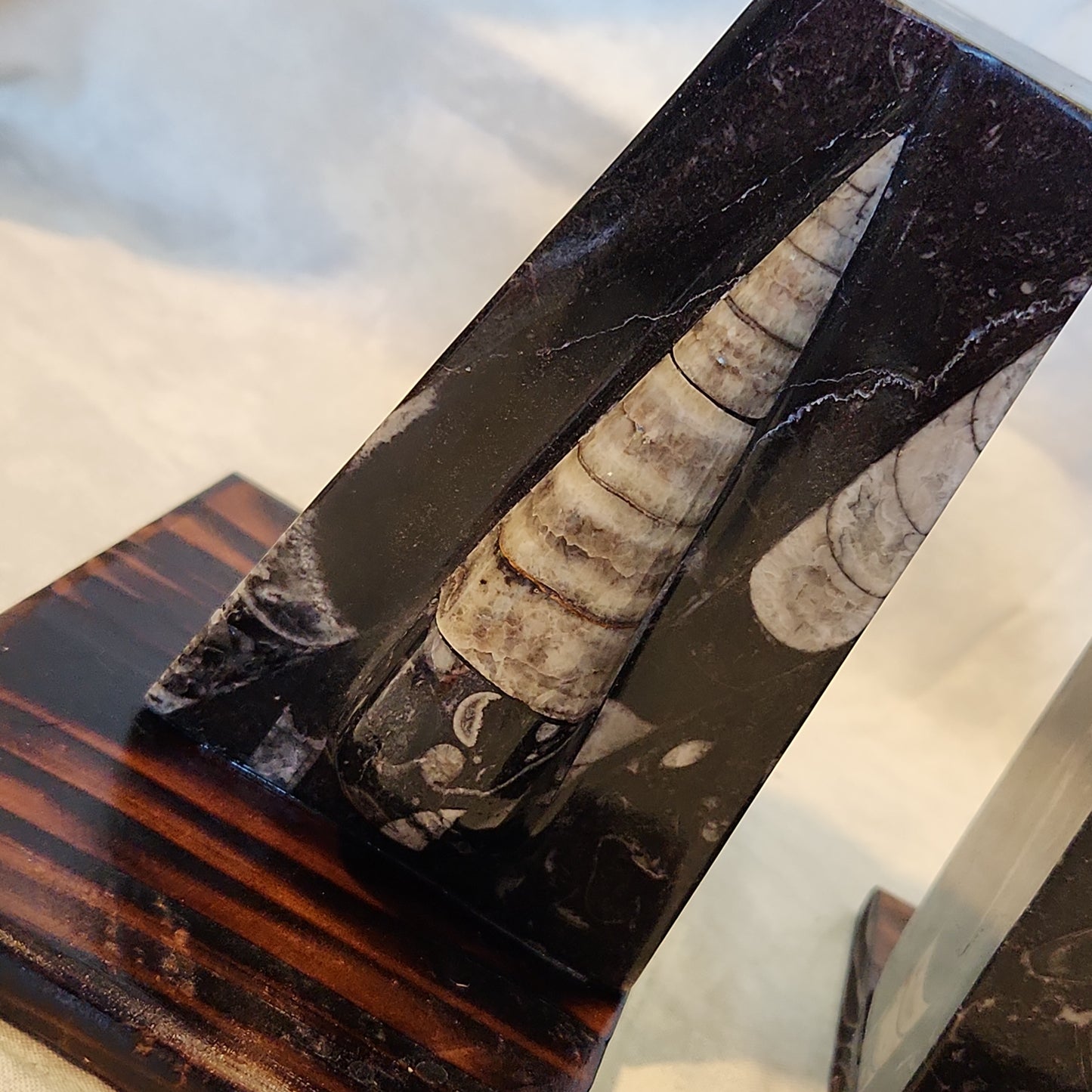 Fossilized Orthoceras Stone Bookends, Carved and Polished Decorative Slate Bookends