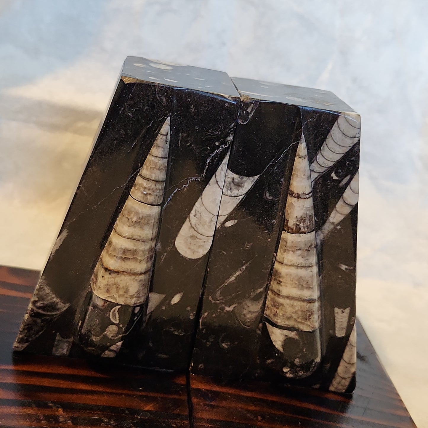 Fossilized Orthoceras Stone Bookends, Carved and Polished Decorative Slate Bookends