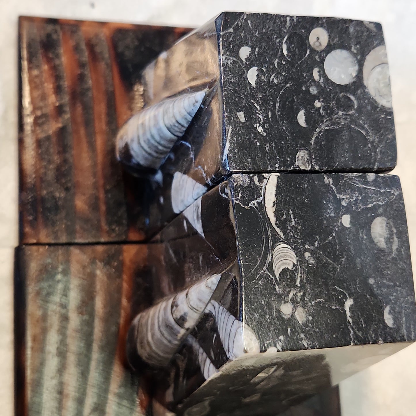 Fossilized Orthoceras Stone Bookends, Carved and Polished Decorative Slate Bookends