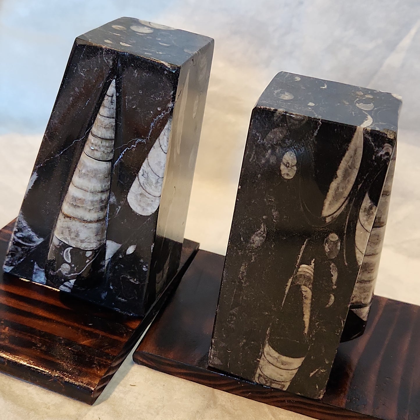 Fossilized Orthoceras Stone Bookends, Carved and Polished Decorative Slate Bookends