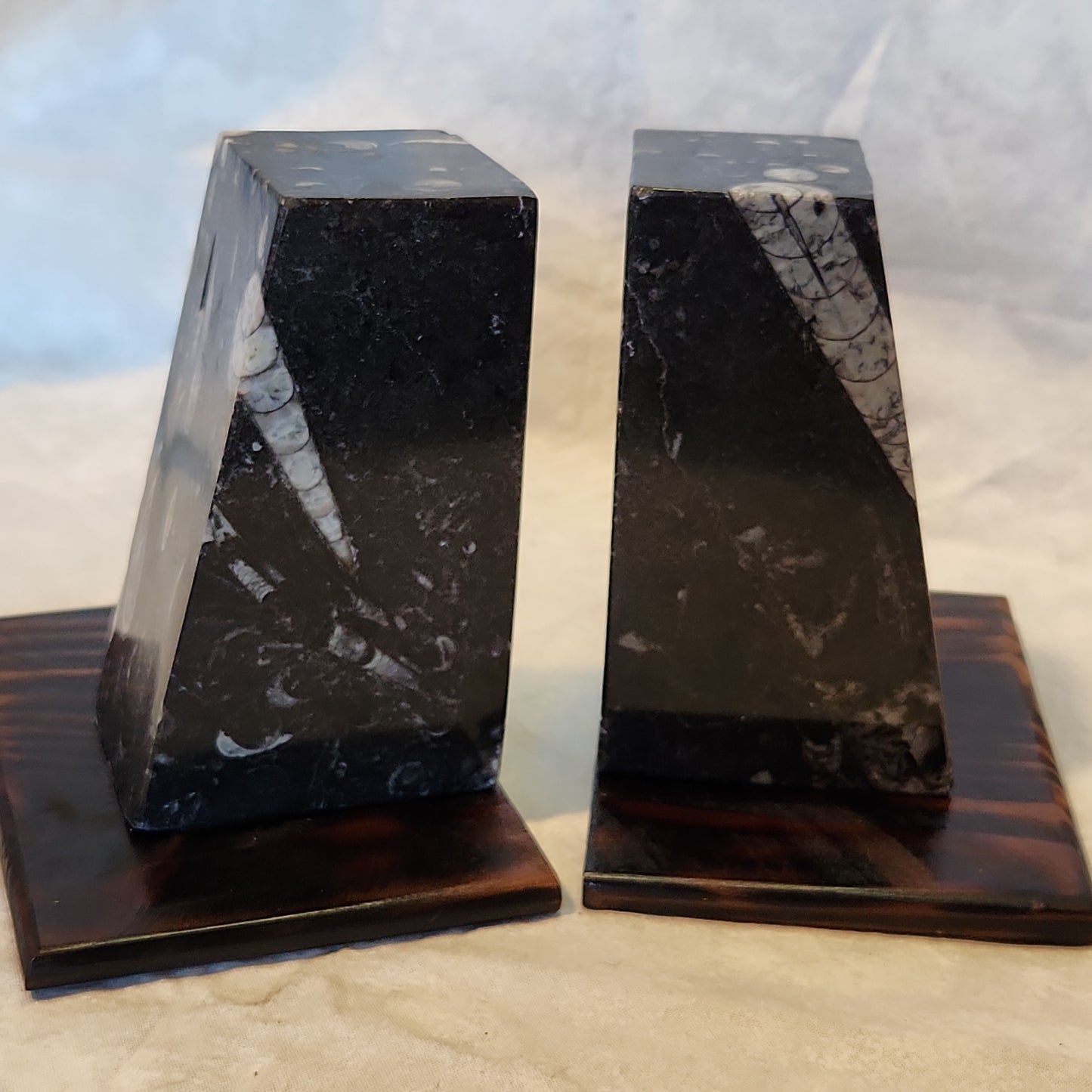 Fossilized Orthoceras Stone Bookends, Carved and Polished Decorative Slate Bookends