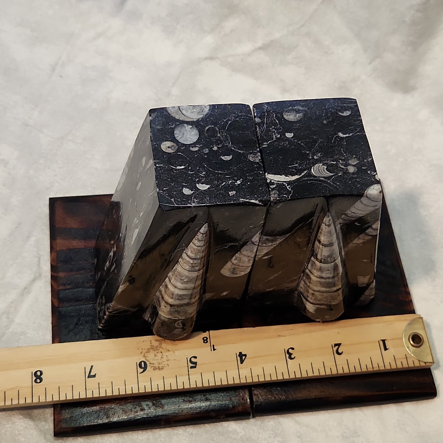 Fossilized Orthoceras Stone Bookends, Carved and Polished Decorative Slate Bookends