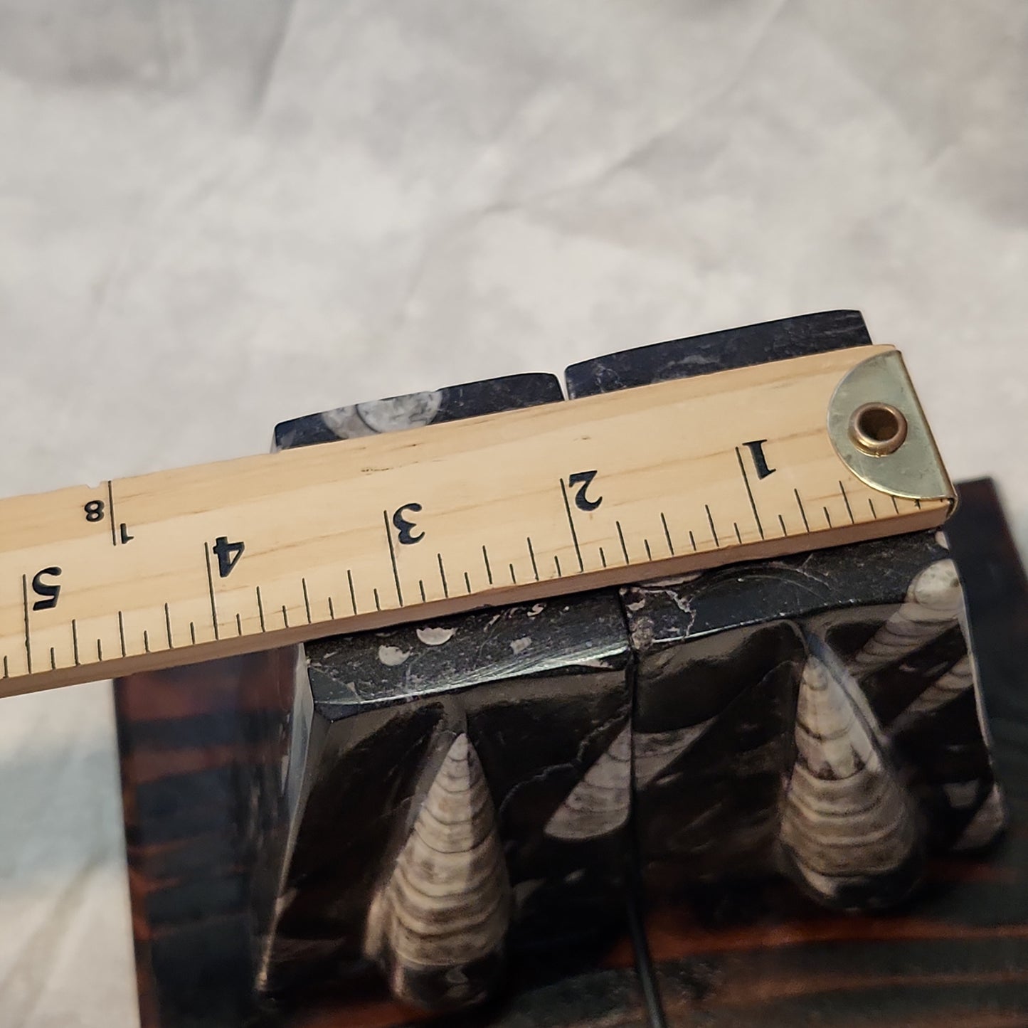 Fossilized Orthoceras Stone Bookends, Carved and Polished Decorative Slate Bookends