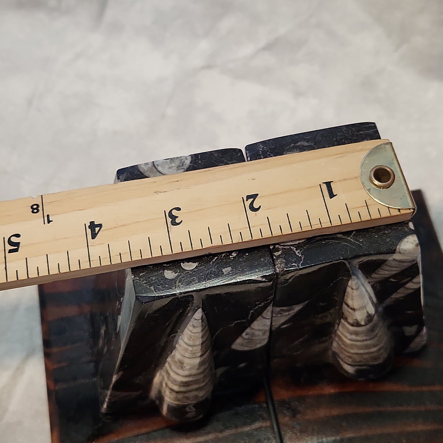 Fossilized Orthoceras Stone Bookends, Carved and Polished Decorative Slate Bookends