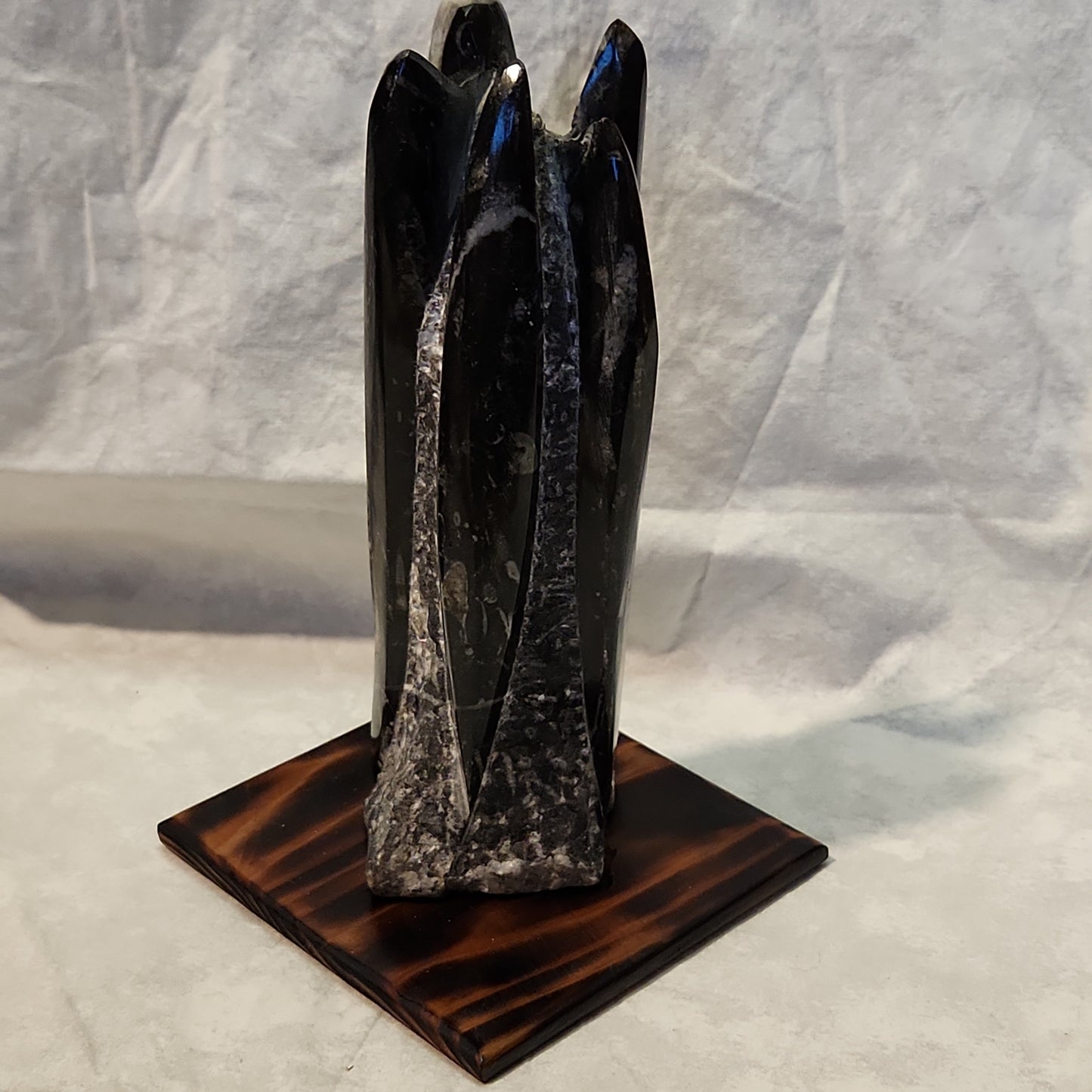 Fossils, Medium-Large Orthoceras Polished/Rough Natural Stone Sculpture Display with Burned Reclaimed Cedar Wood Base