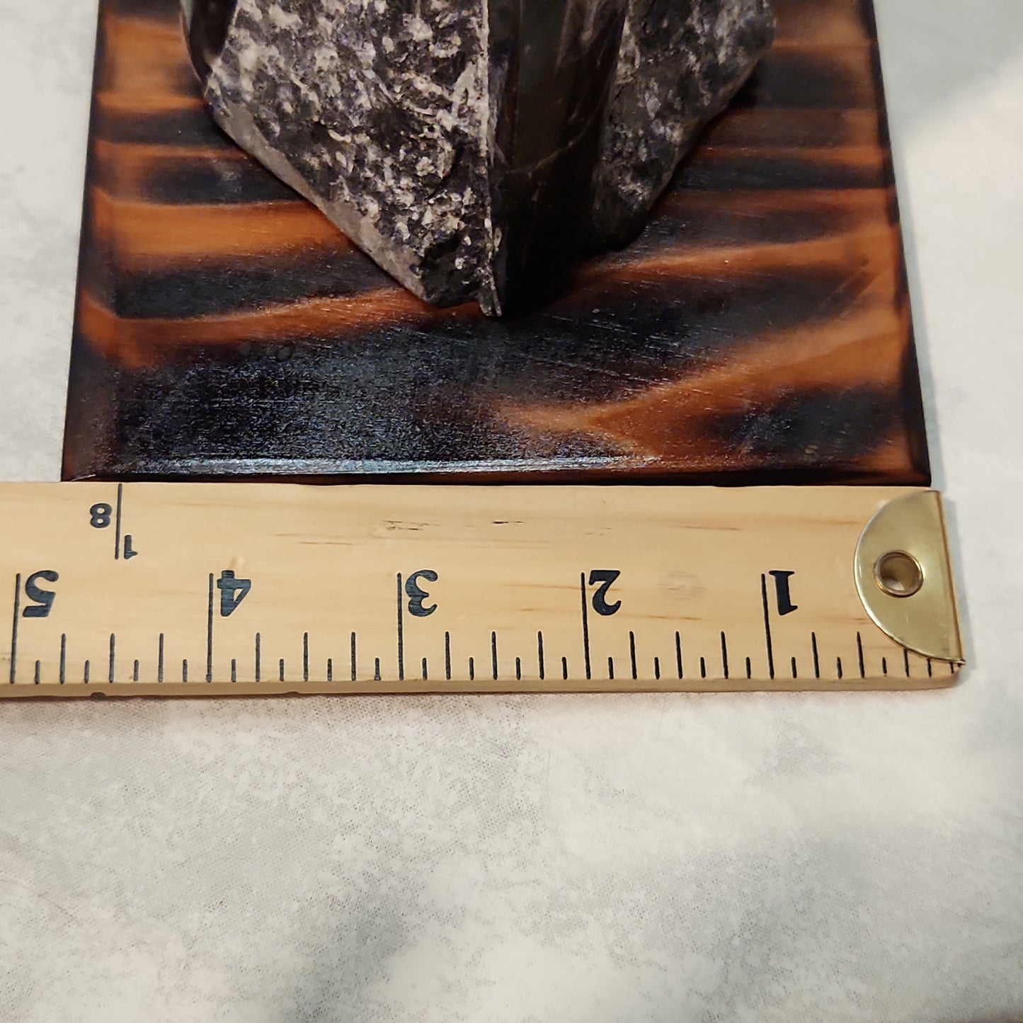 Fossils, Medium-Large Orthoceras Polished/Rough Natural Stone Sculpture Display with Burned Reclaimed Cedar Wood Base