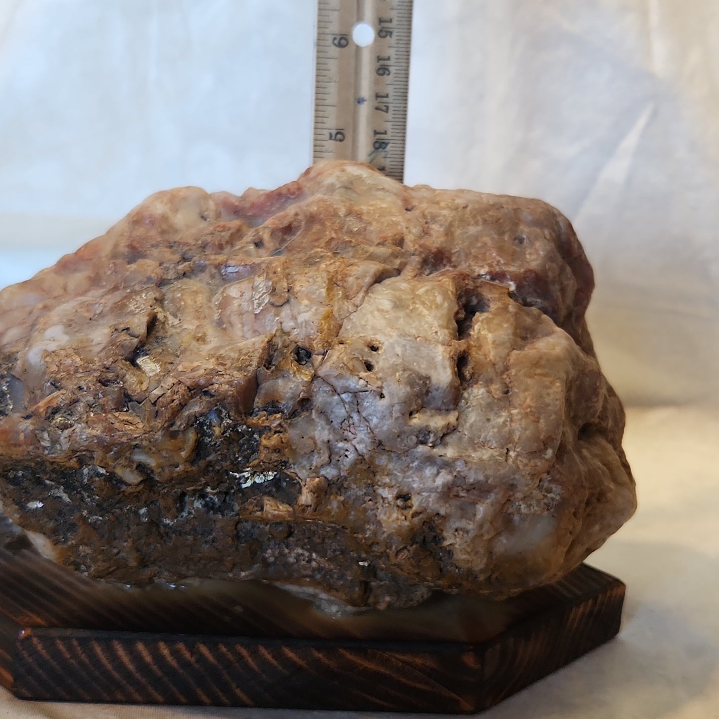 Nevada Chalcedony Coral Jasper Landscape Rock Art Display Burned Wood Base