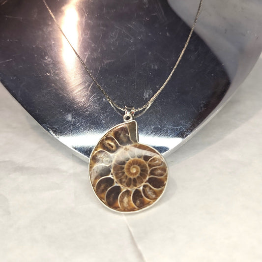 Fossil Jewelry, Silver Plated Polished Ammonite Fossil Necklace