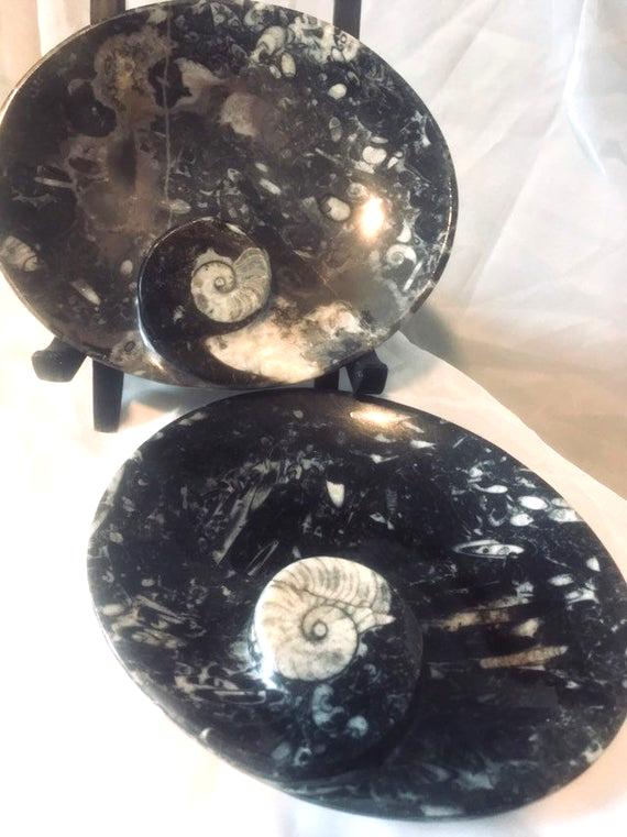 Fossil Plates, Unique Home Decor Carved and Polished Ammonite Fossil Oval Dish